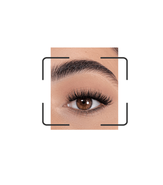 DIY lash segments: Go glam