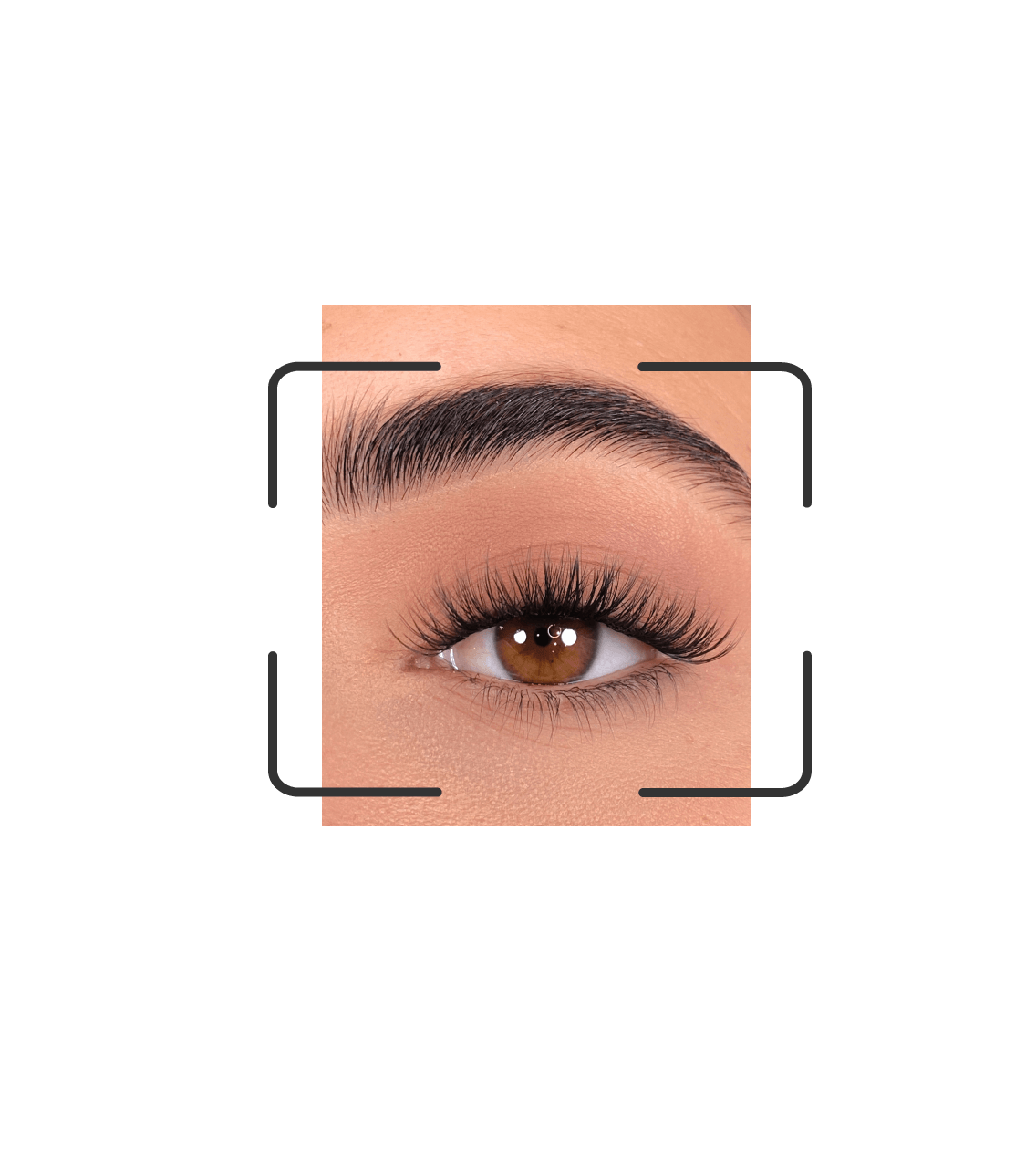 DIY lash segments: Go gorgeous