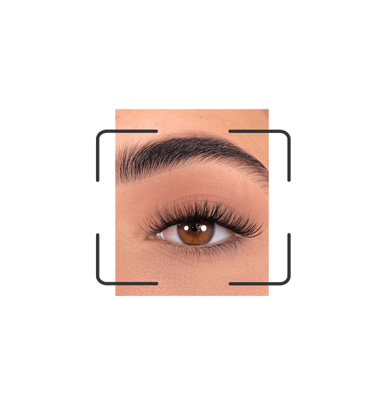 DIY lash segments: Go gorgeous