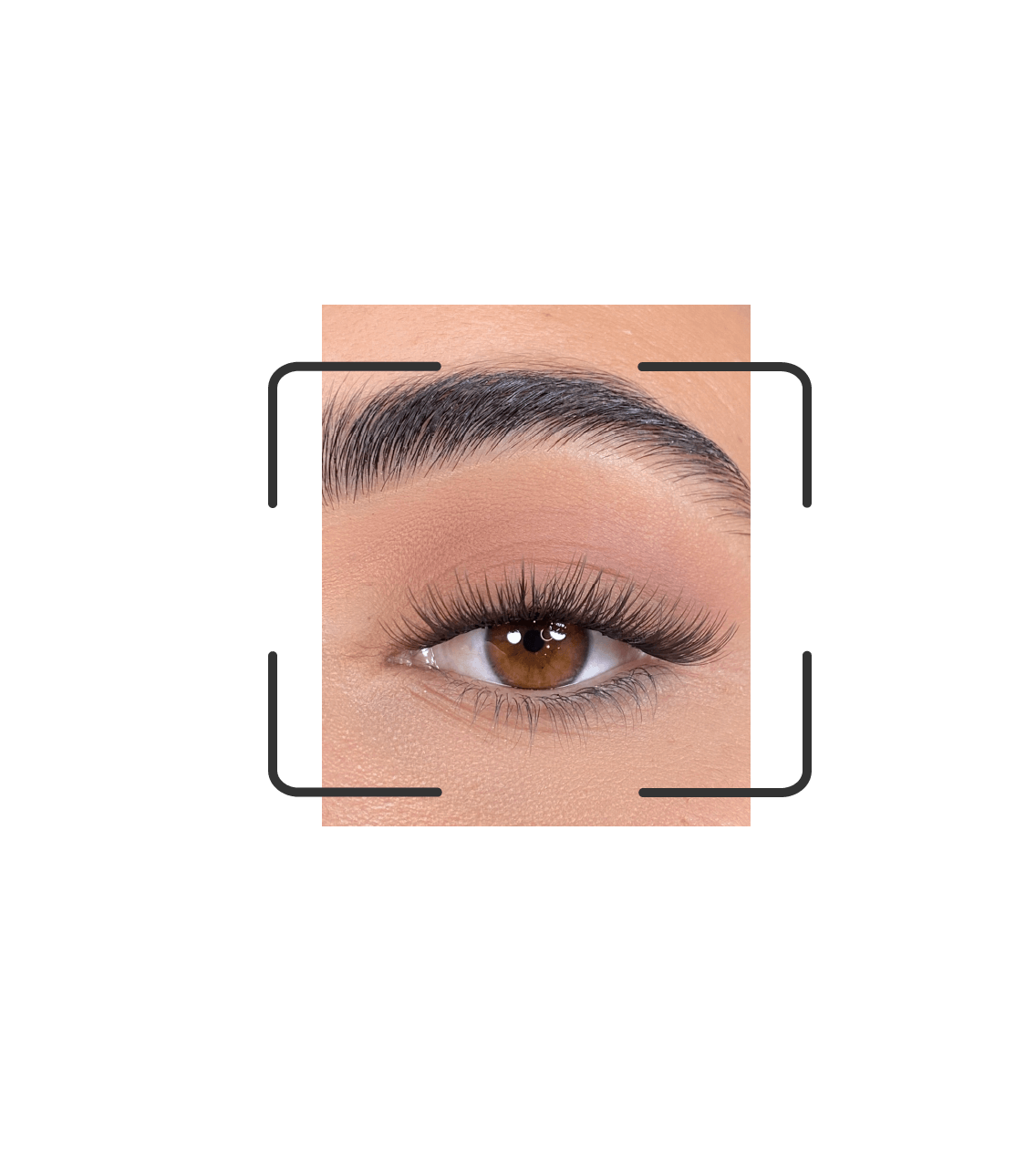 DIY lash segments: Go Bestie