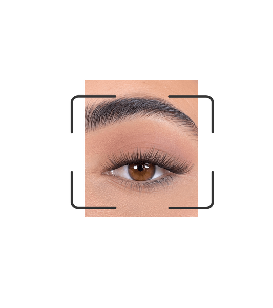 DIY lash segments: Go Bestie