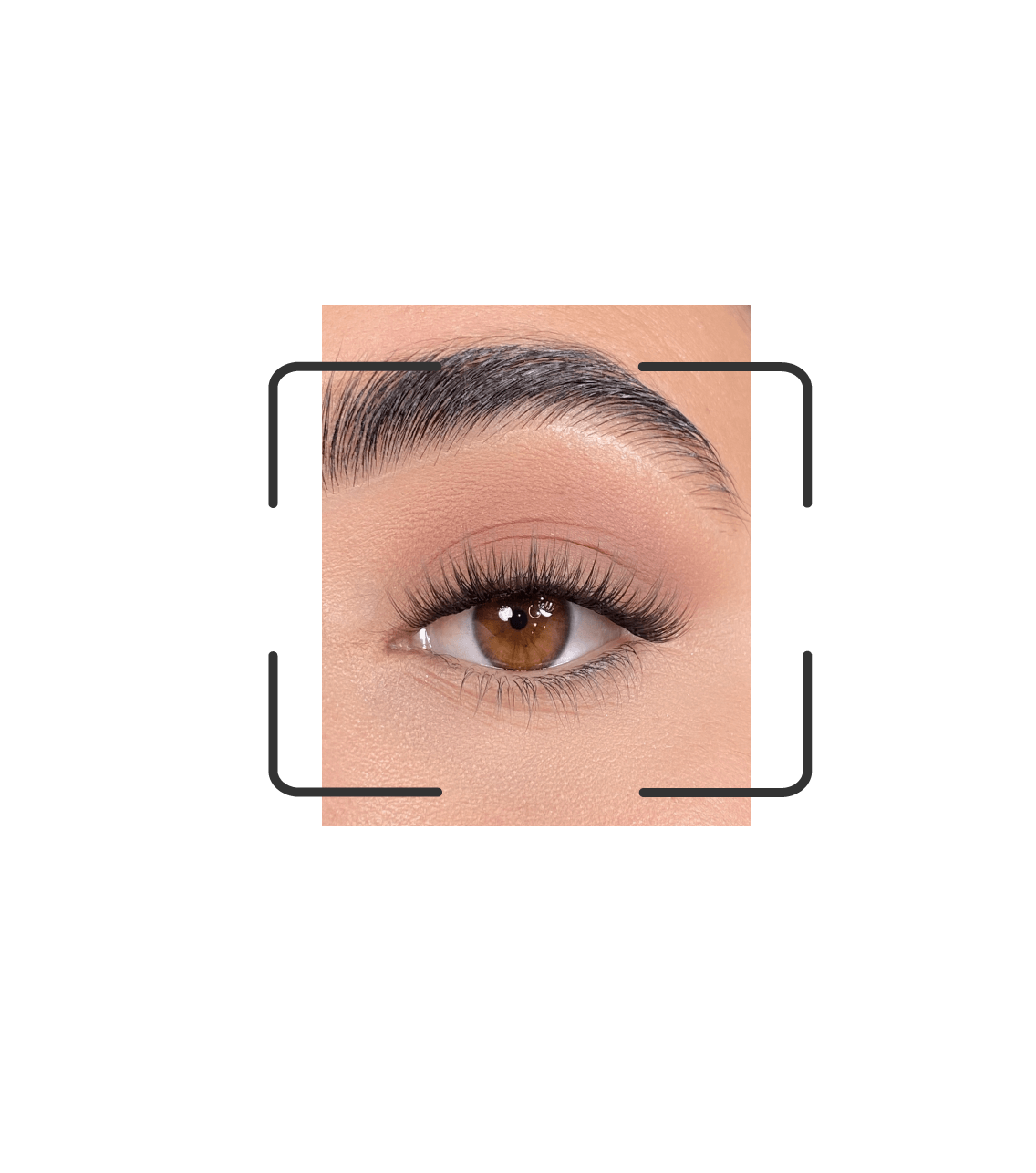 DIY lash segments: Go classic