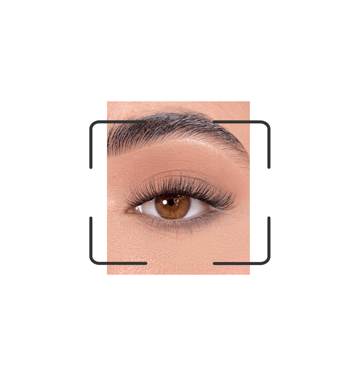 DIY lash segments: Go daily