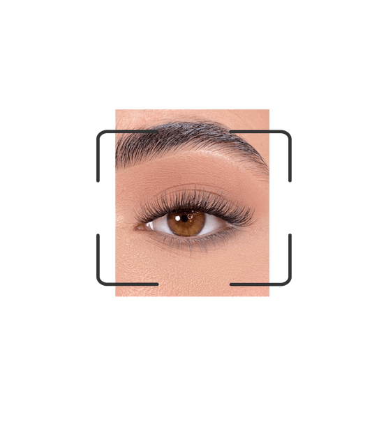 DIY lash segments: Go daily