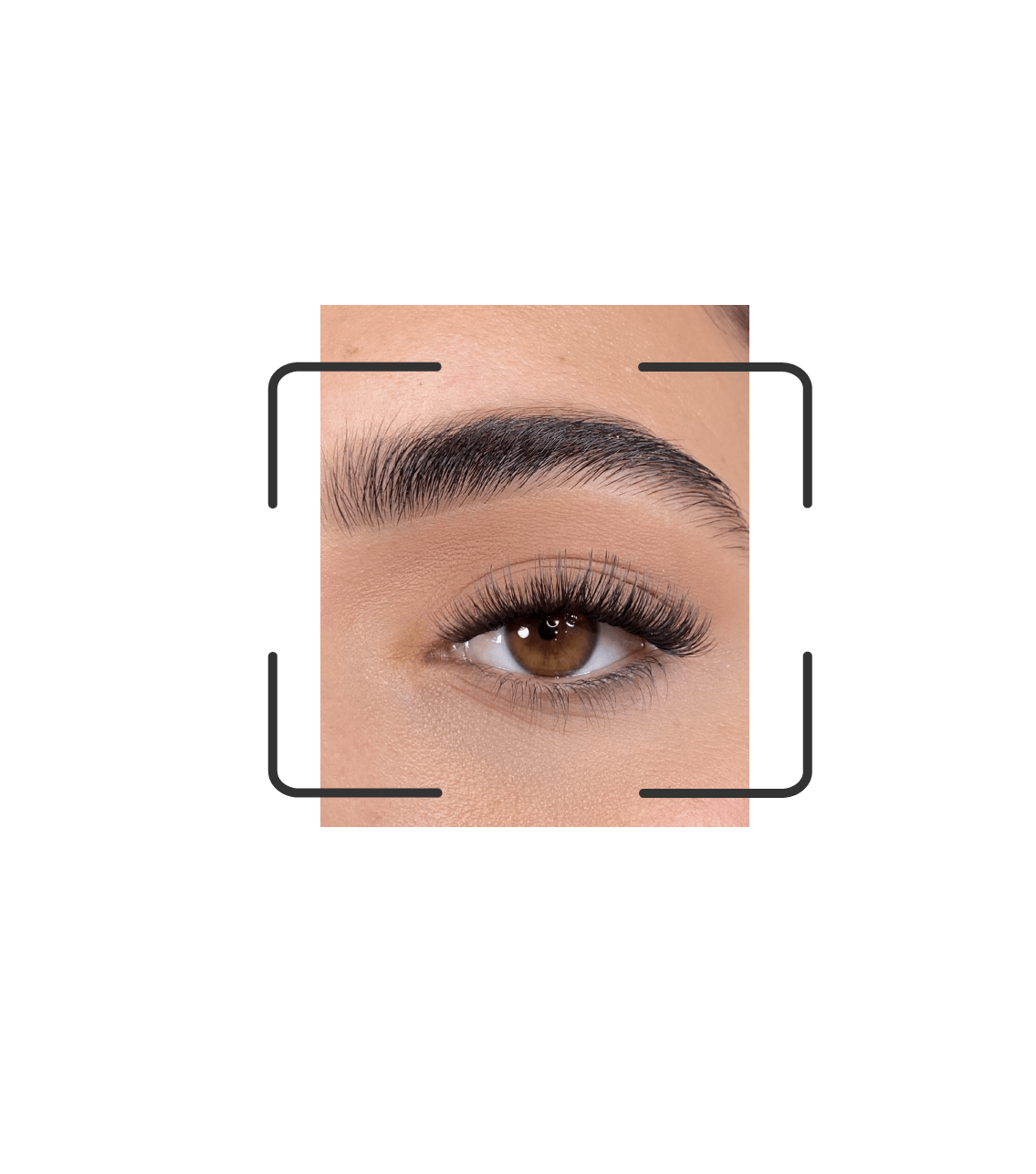 DIY lash segments: Go Gossip