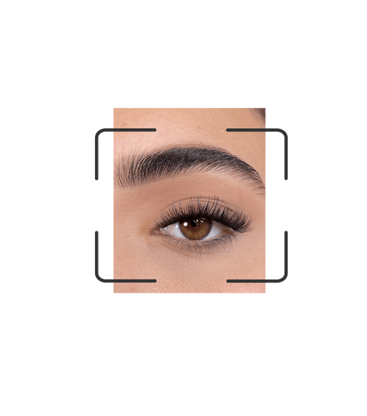 DIY lash segments: Go Gossip