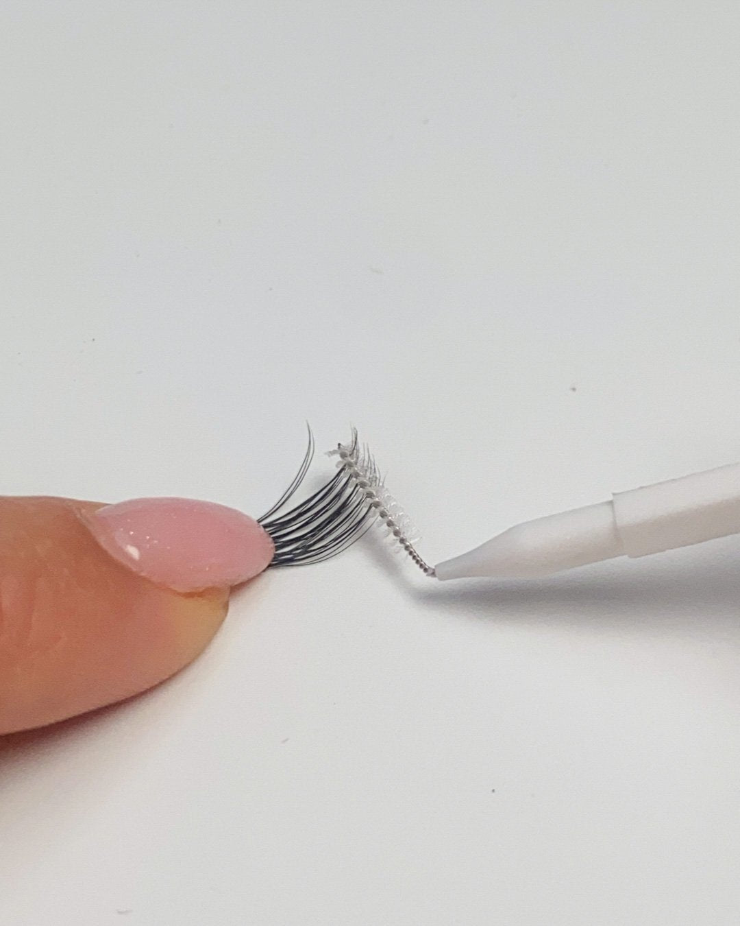 piksters used to clean lash segments